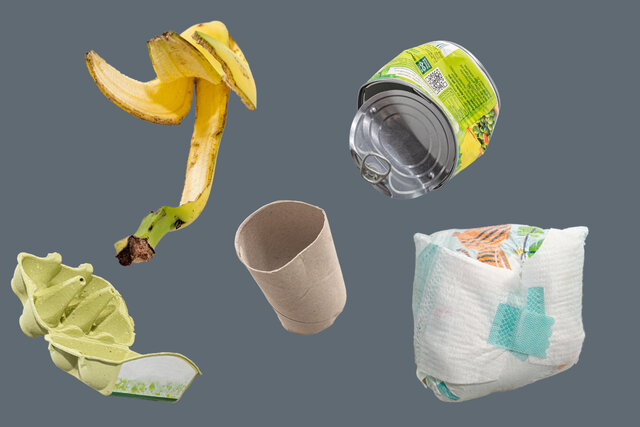 Bananenschale, leere Klorolle, leere Konservendose, Eierkarton, volle Windel